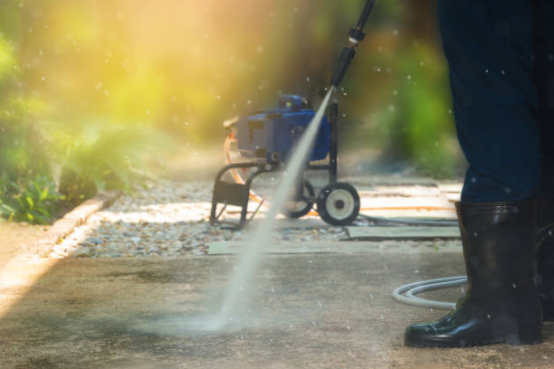 Best Roof Cleaning and Mildew Removal in Richnd, MO